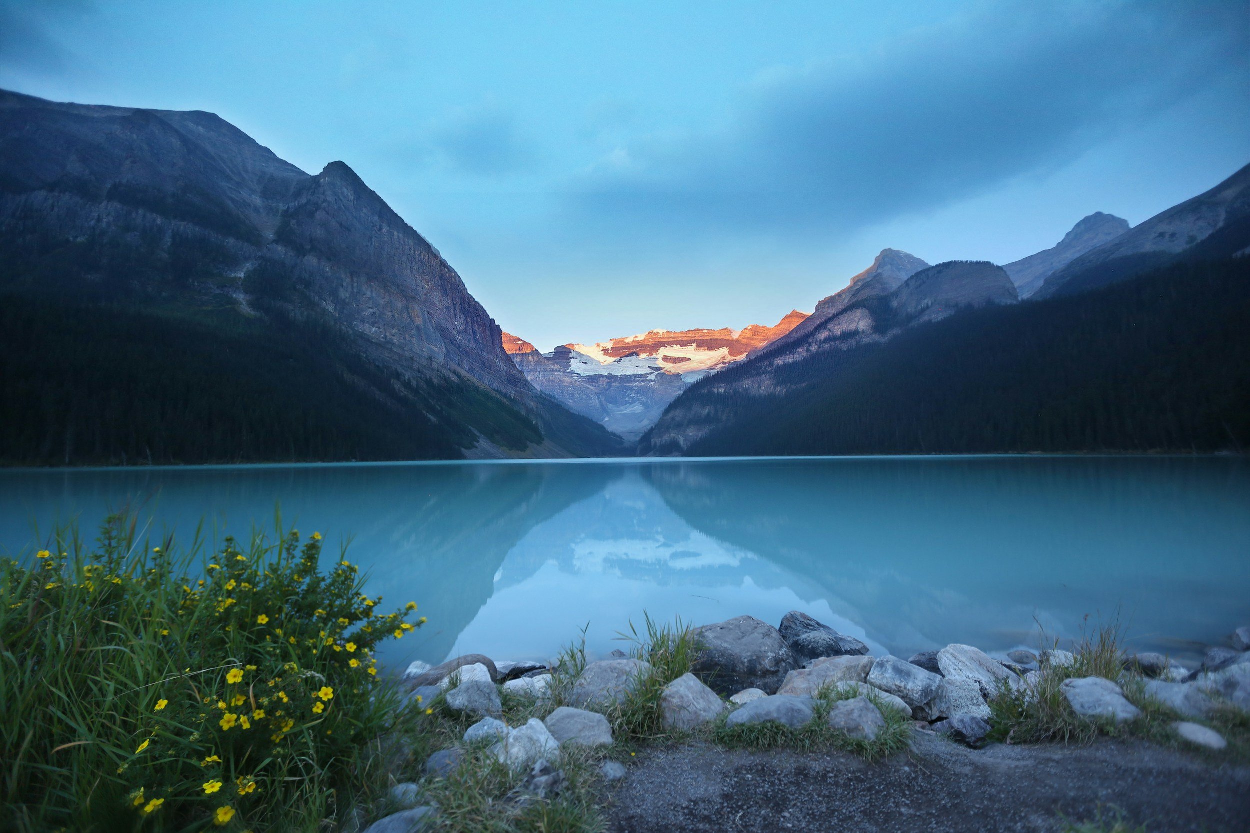 Mountain lake at dusk with reflections and wildflowers