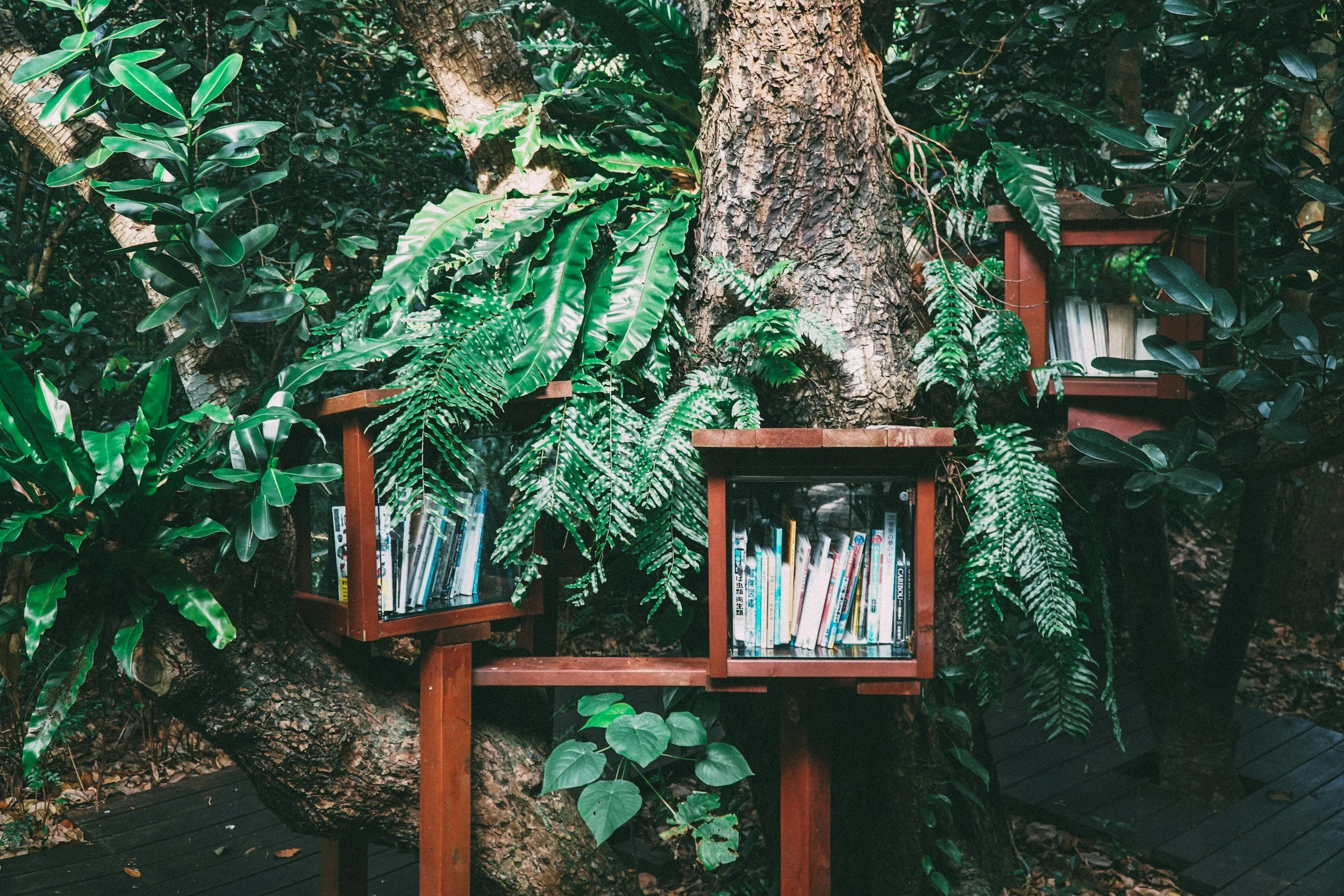 Little free library surrounded by lush green plants